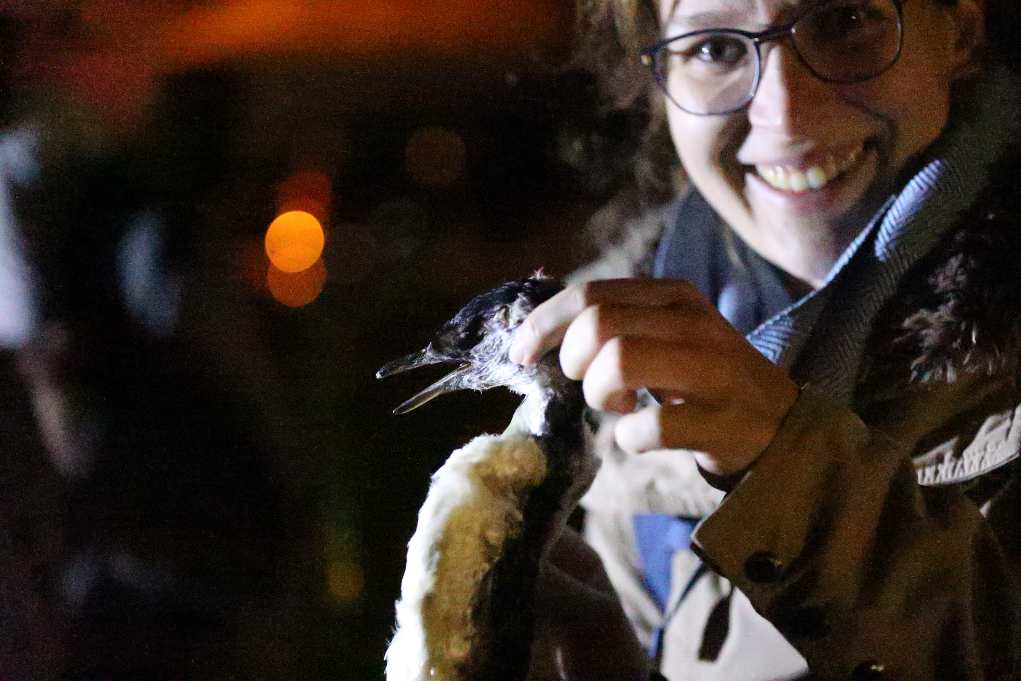 2019 09 28 19 42 40 Canon EOS 5D Mark IV 0061